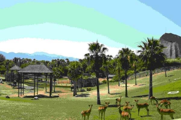 Terra Natura Benidorm se prepara para su reapertura el pr&oacute;ximo 22 de junio.