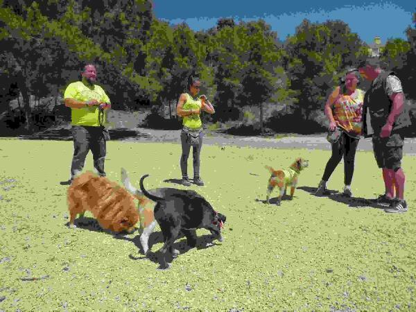 La Nucía // Nueva “Zona Recreativa Canina” en la Urbanización Nou Espai I