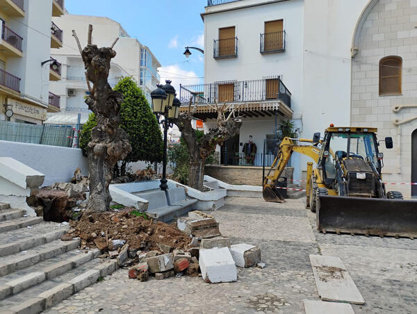 La Empresa P&uacute;blica trasplanta las moreras de la Pla&ccedil;a del Convent a un entorno m&aacute;s favorable para garantizar su supervivencia