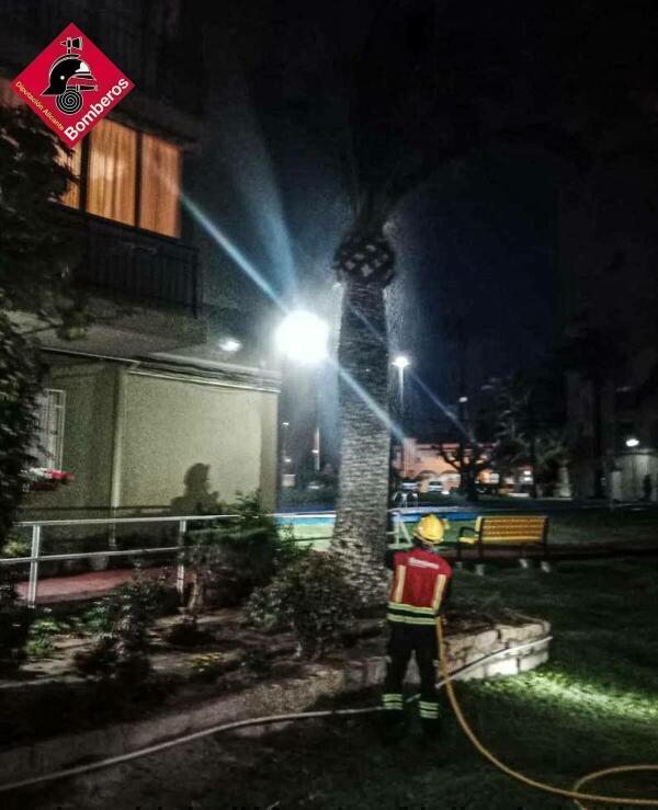 INCENDIO DE PALMERA EN BENIDORM