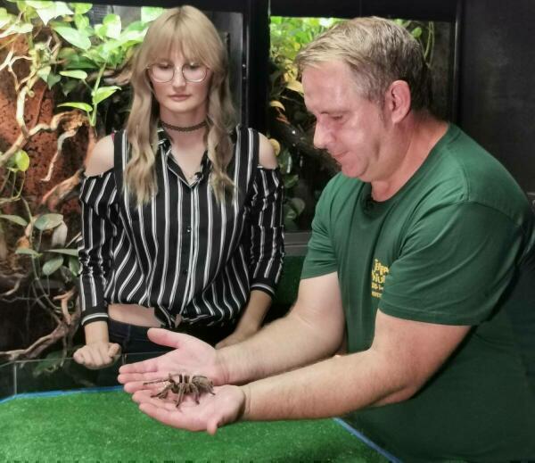 Terra Natura Benidorm derriba los mitos de algunos animales asociados al mundo de la brujería en Halloween 