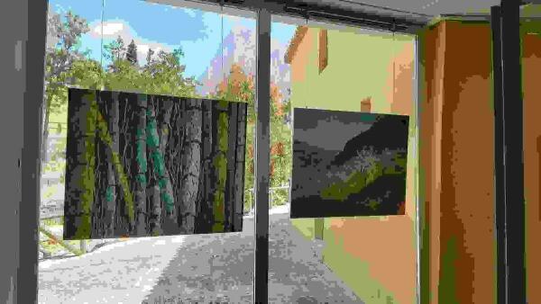 La Fundaci&oacute;n Frax reanuda su actividad expositiva en espacios p&uacute;blicos de las comarcas de las Marinas.